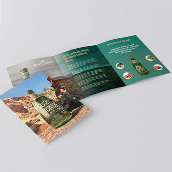 Professional Flyer & Brochure Designs