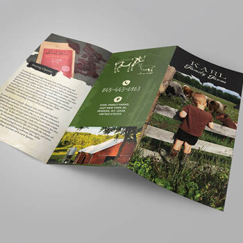 Business Flyer & Brochure Designs